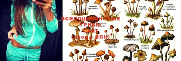 Альфа ПВП Приозерск